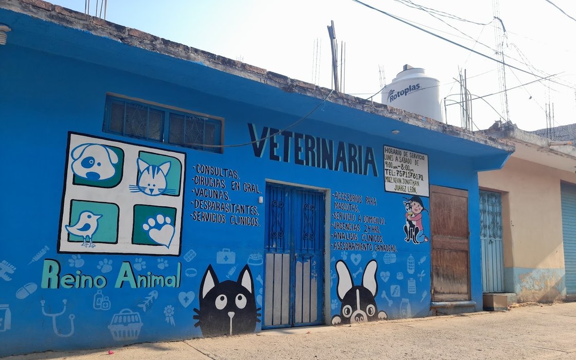 Veterinaria Reino Animal: opiniones, fotos, número de teléfono y dirección  de Clínicas veterinarias (Guerrero) 