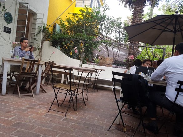 La Cafetería: opiniones, fotos, horarios, ? menú, número de teléfono y  dirección (restaurantes, cafeterías, bares y discotecas en Guadalajara) |  