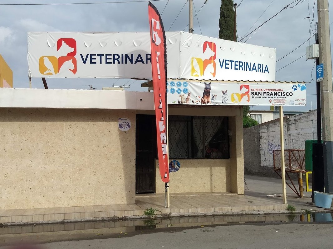 veterinaria